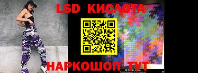 сатива Краснодар