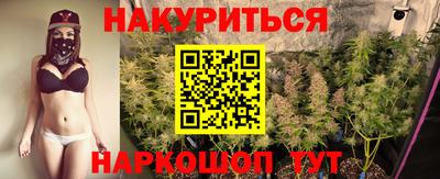 сатива Краснодар