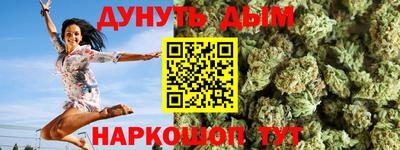 сатива Краснодар